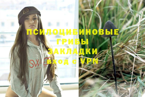 мяу мяу мука Осташков