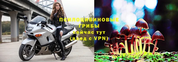 мяу мяу мука Осташков